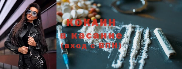 прущие грибы Армянск