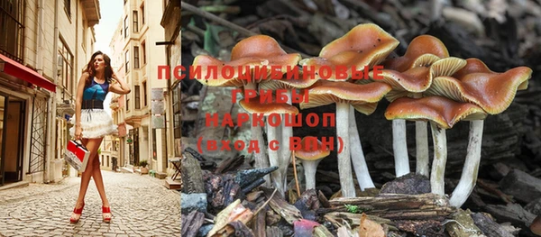 кокс Арсеньев