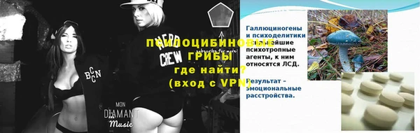 прущие грибы Армянск