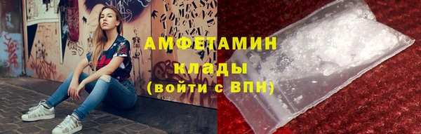 прущие грибы Армянск