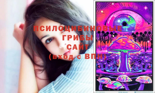 кокс Арсеньев