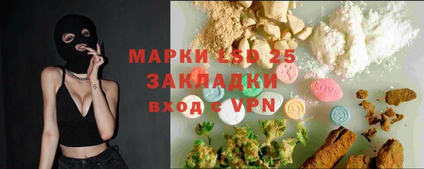 прущие грибы Армянск