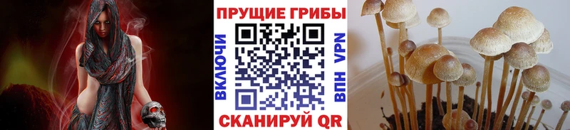Псилоцибиновые грибы ЛСД Нея