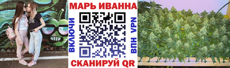 Шишки марихуана гибрид  Нея 